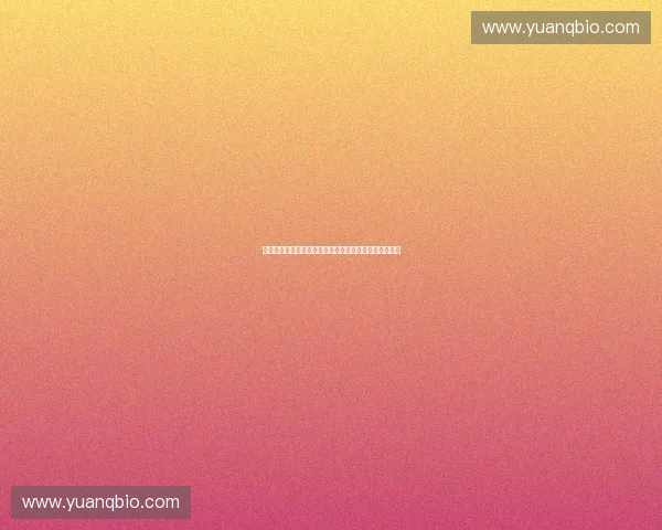 体育策划公司打造全方位赛事运营与品牌推广新模式探索