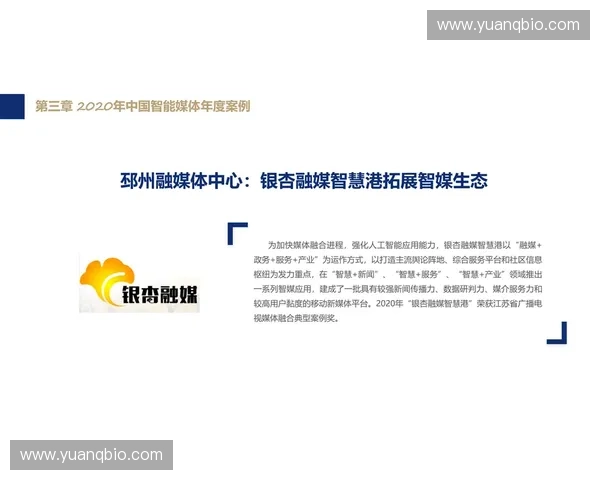 打造运动梦想 让体育品牌成为你无限潜力的见证