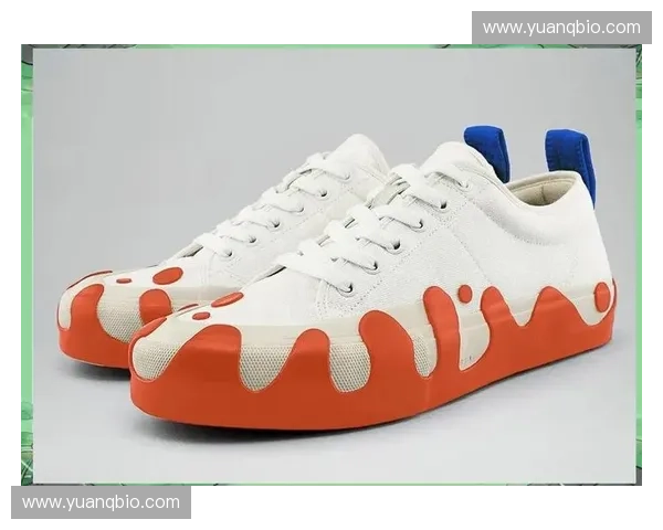 运动鞋创新设计与功能优化在市场中的应用研究